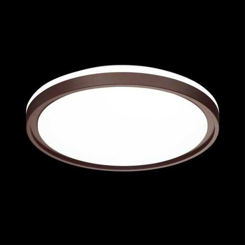 Светильник настенно-потолочный Сонекс Navil 3044/Cl Pale LED 30 Вт фото 3