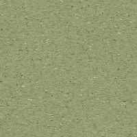 Линолеум коммерческий Tarkett iQ Granit Fern 0405