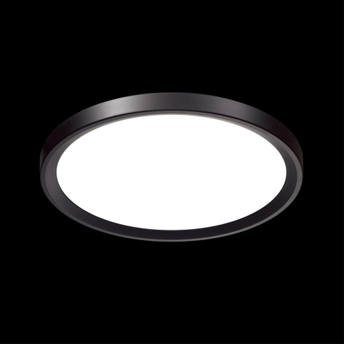 Светильник настенно-потолочный Сонекс Tasta 3065/18Ld Vasta Led LED 18 Вт фото 4