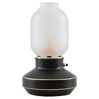 Настольная лампа Lussole Anchorage LSP-0568